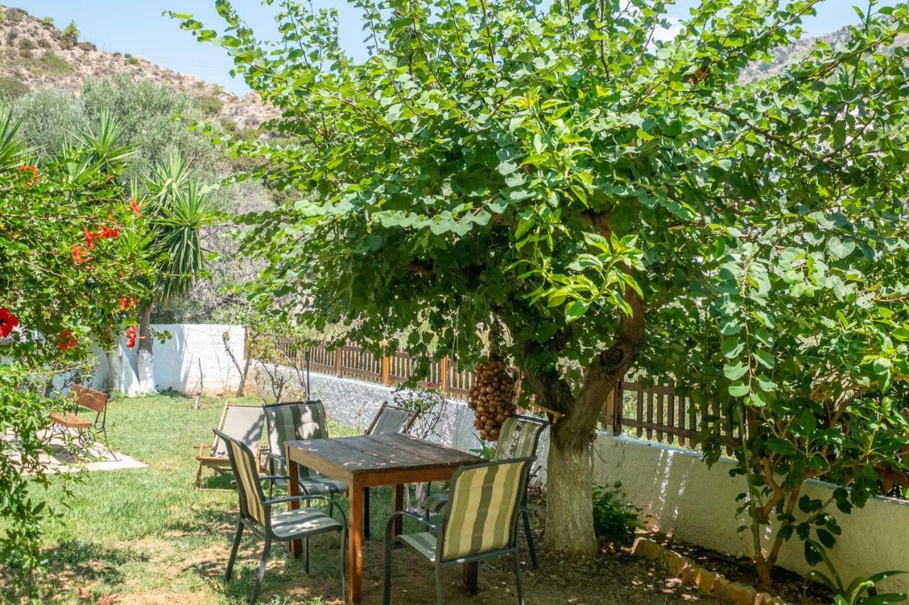 Irtakina Apartment Sougia Exterior photo