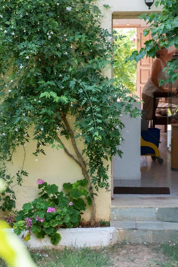 Irtakina Apartment Sougia Exterior photo